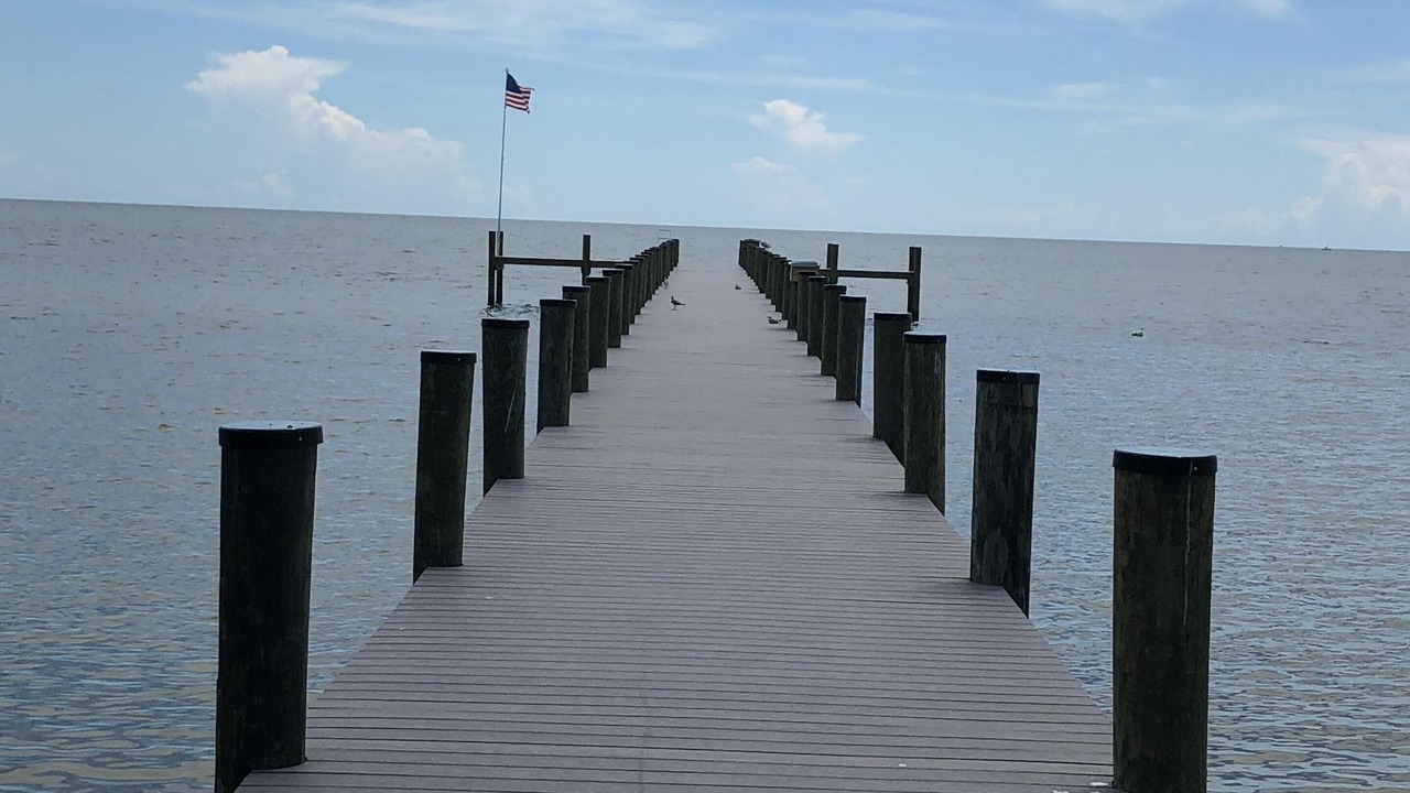 Photo of Others in Plantation by the Sea