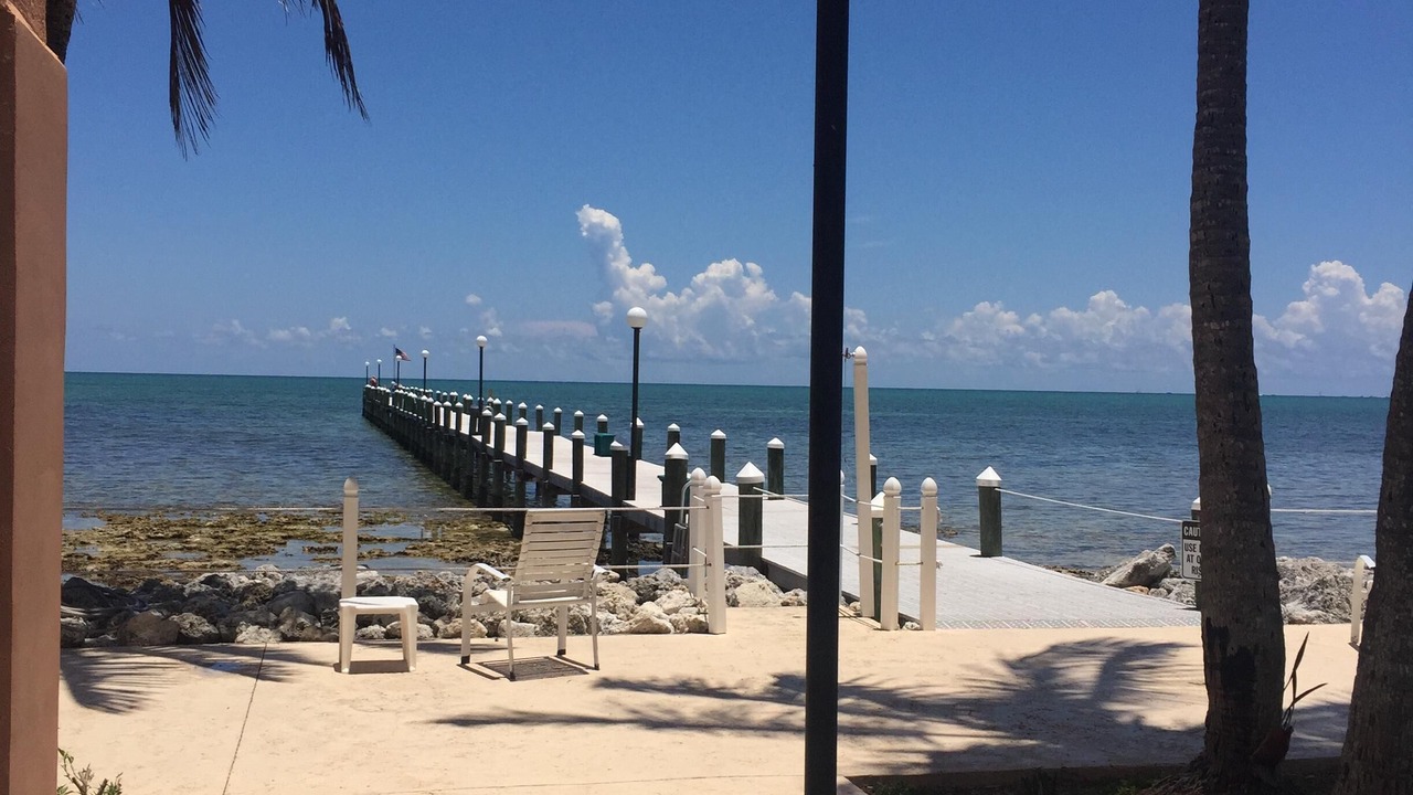 Photo of Outdoor in Plantation by the Sea