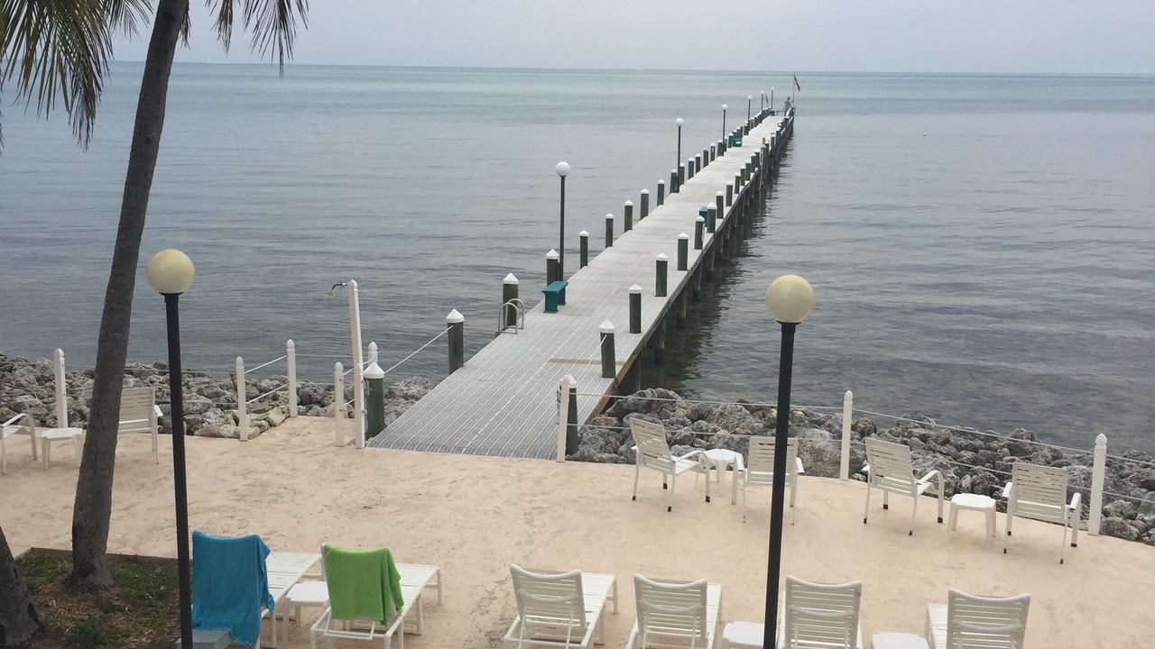 Photo of Others in Plantation by the Sea