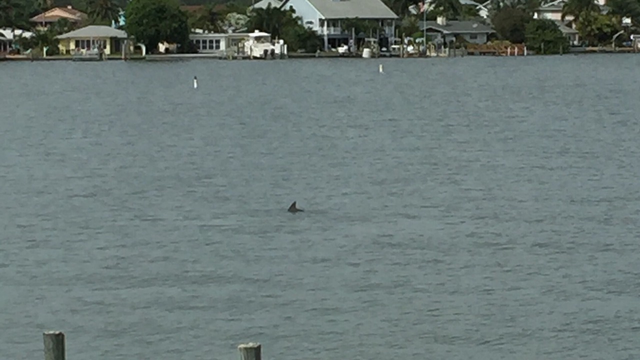 Photo of Others in Redington Shores