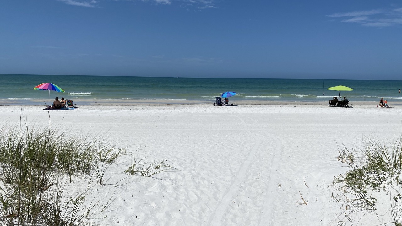 Photo of Others in Redington Shores