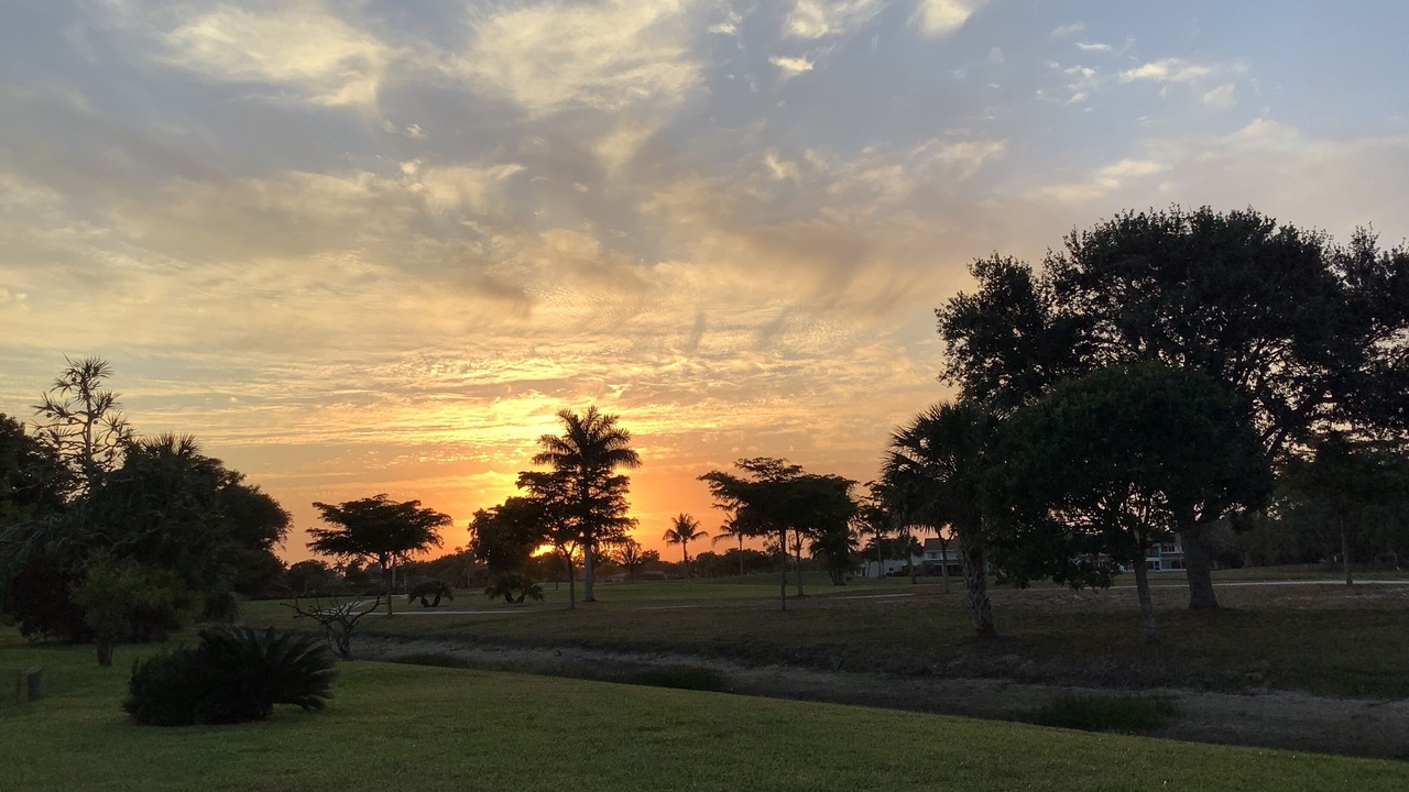 Photo of Others in Lely Golf Estates