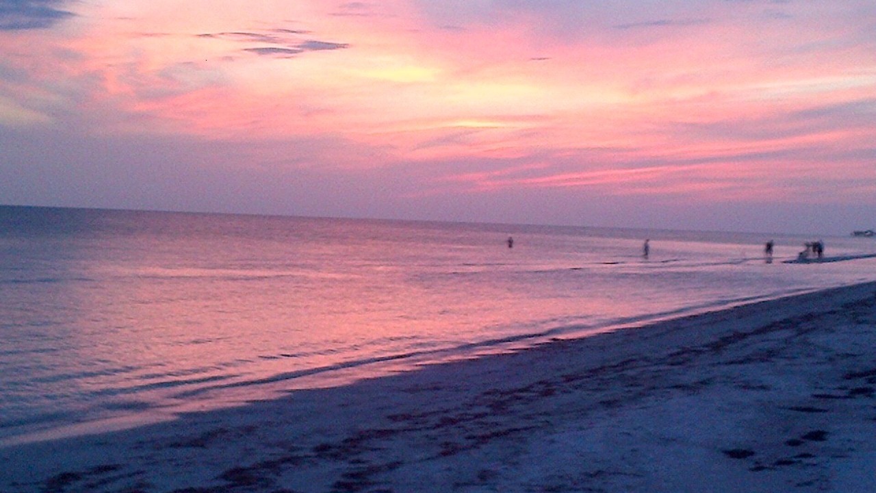 Photo of Others in Redington Beach