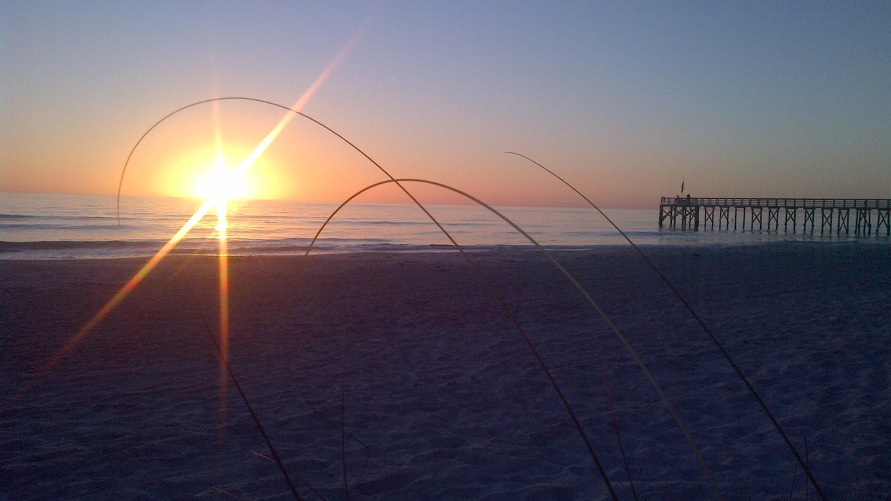 Photo of Others in Redington Beach