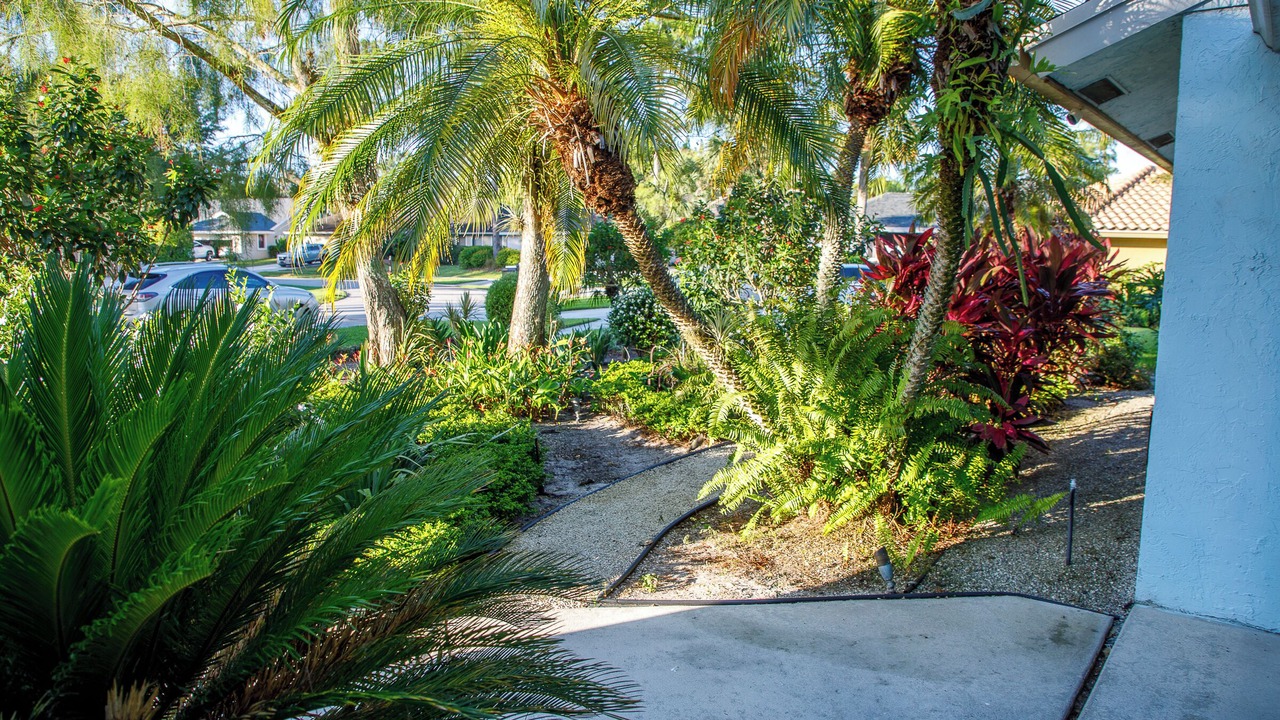Photo of Outdoor in Wellington