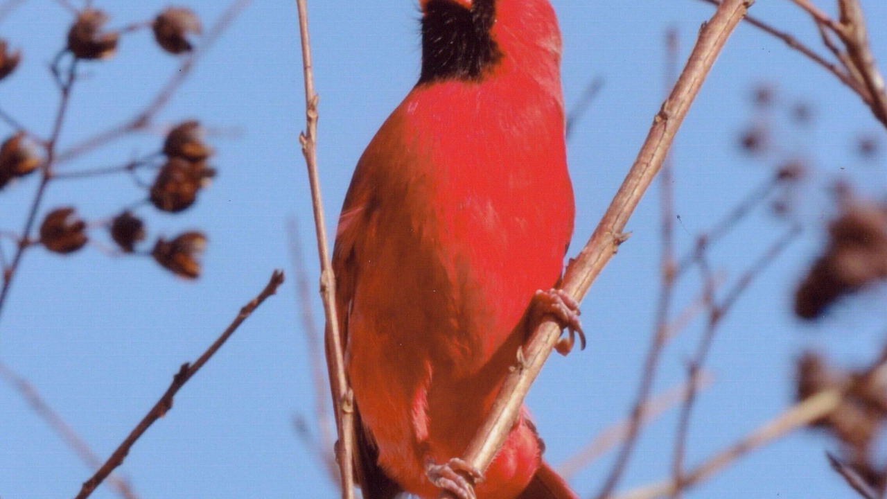 Photo of Others in Crawfordville