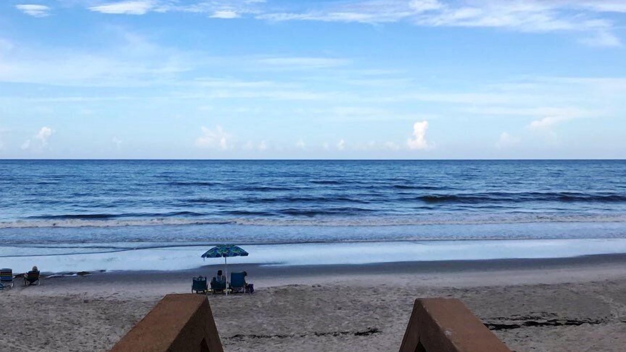 Photo of Others in Indian Harbour Beach