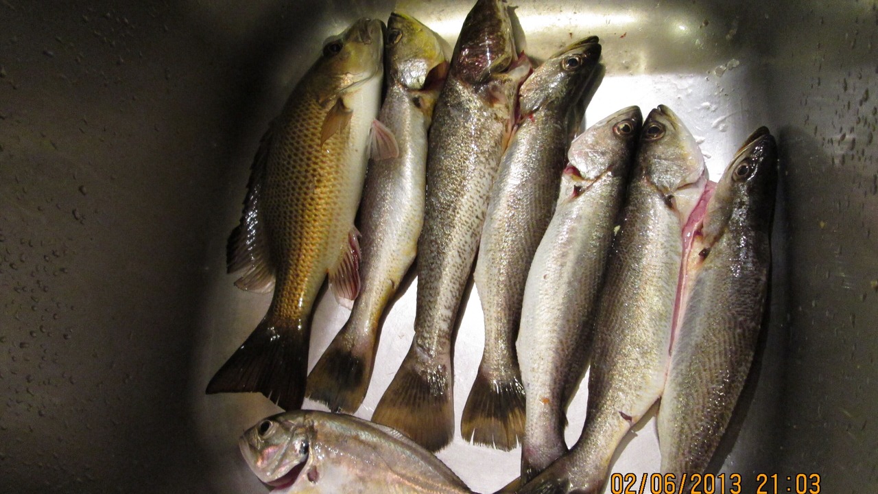 Photo of Others in Caloosahatchee