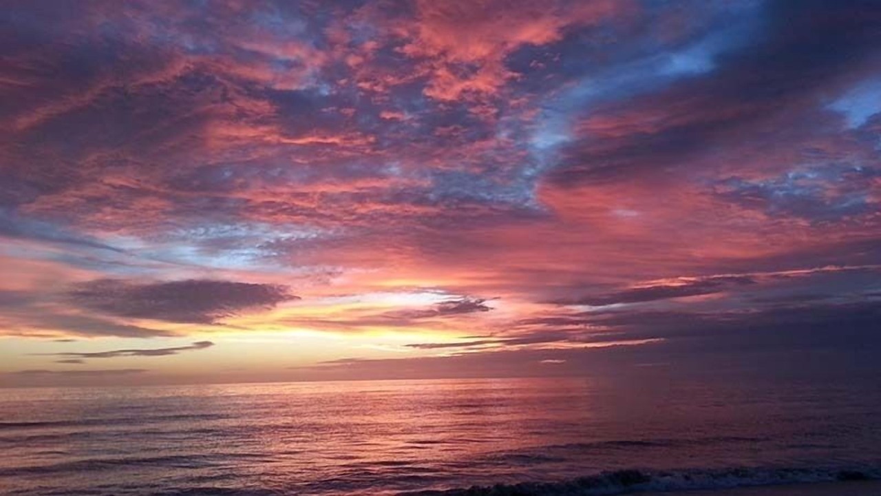 Photo of Others in Longboat Key