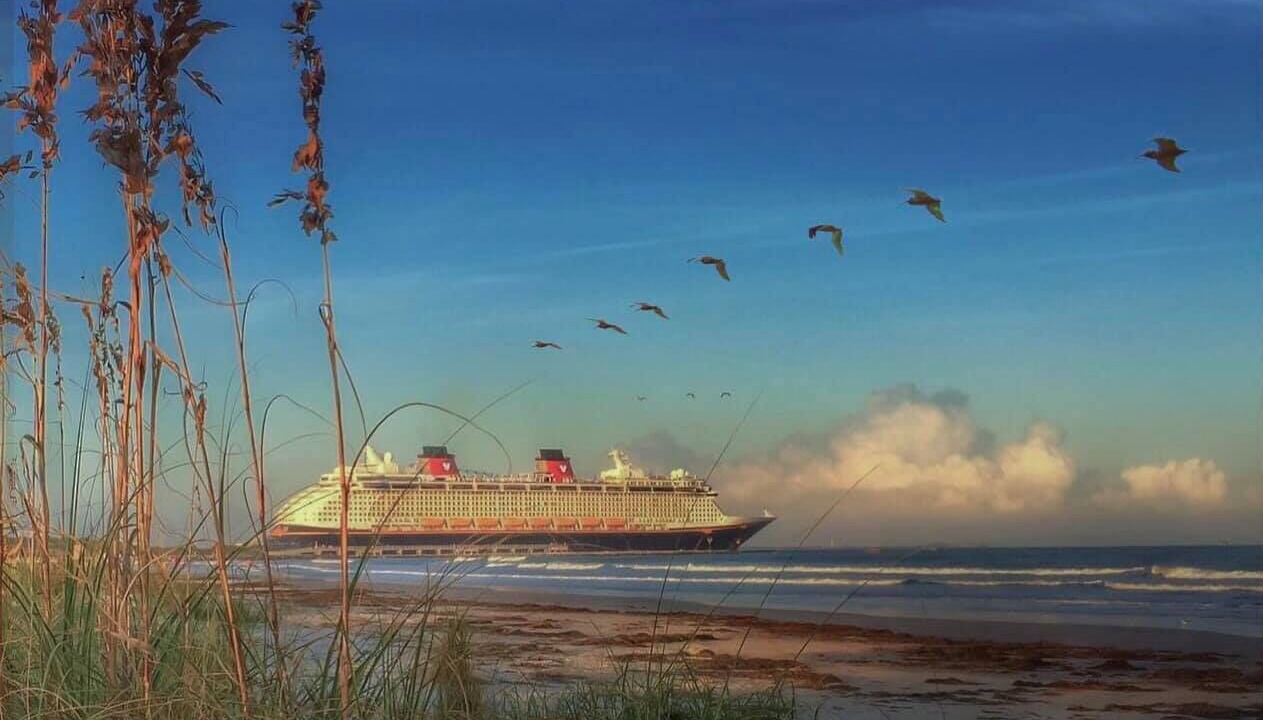 Photo of Others in Ocean Woods