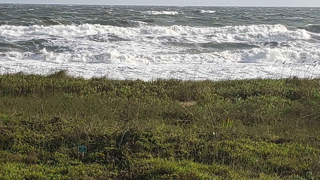 Photo of Others in Vilano Beach
