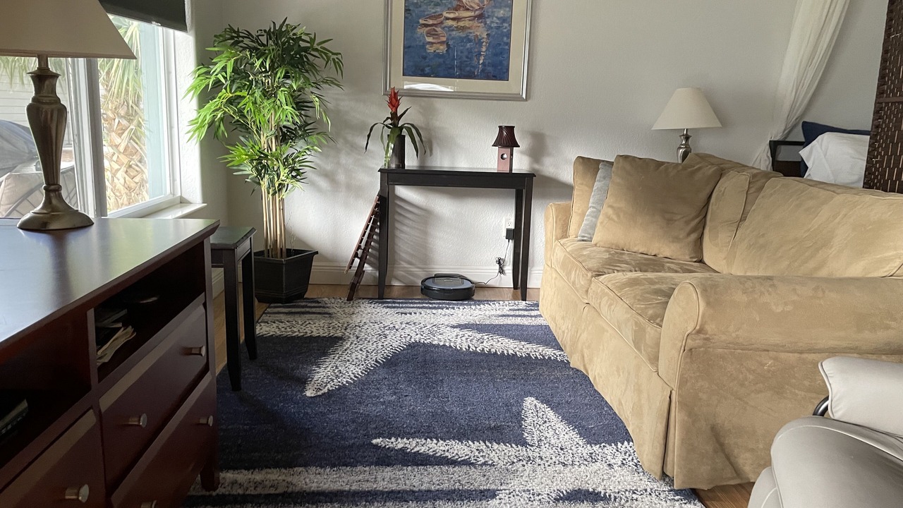 Photo of Livingroom in Georgetown