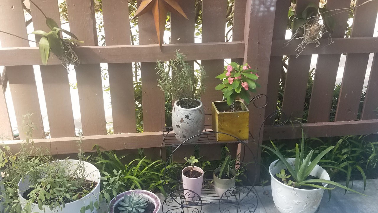Photo of Outdoor in Atlantic Beach