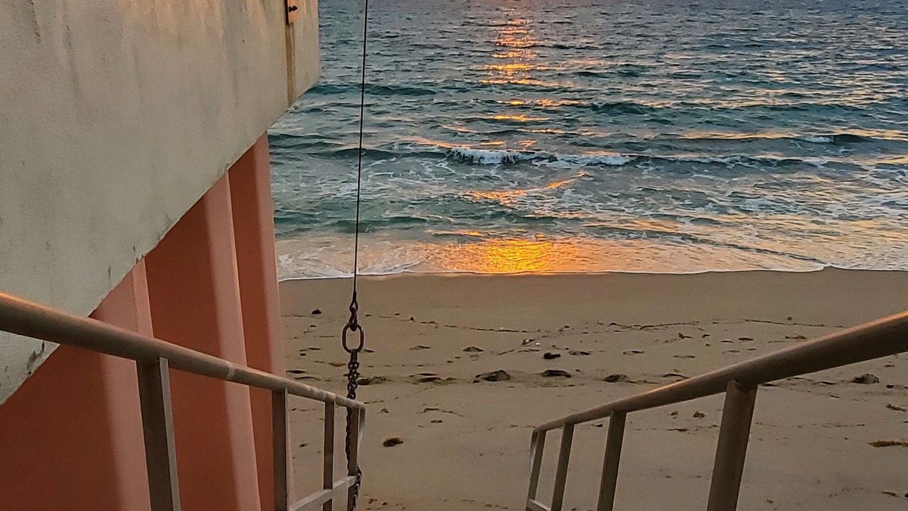 Photo of Others in Palm Beach