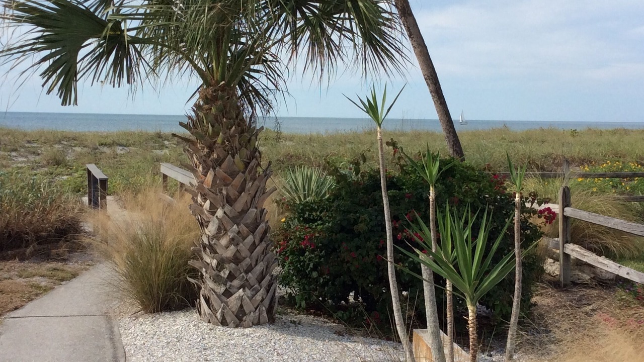 Photo of Outdoor in Golden Beach