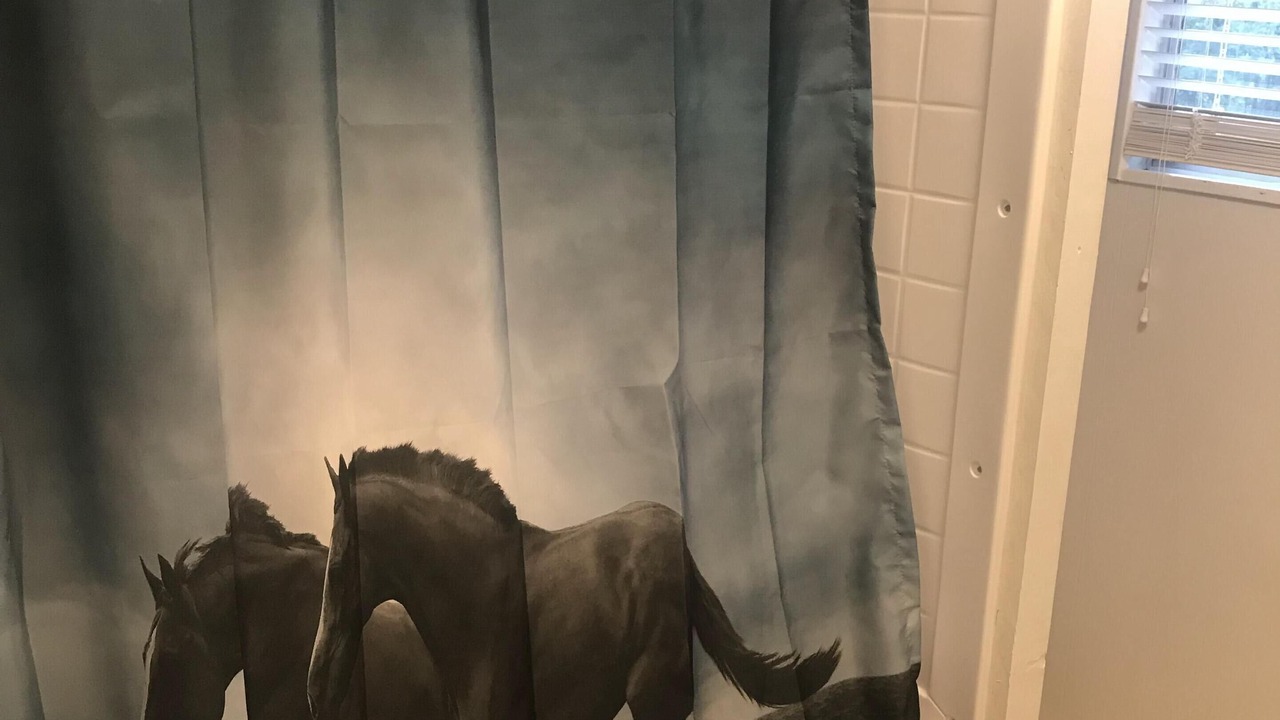 Photo of Bathroom in Live Oak