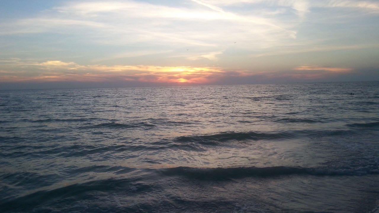 Photo of Others in St. Pete Beach