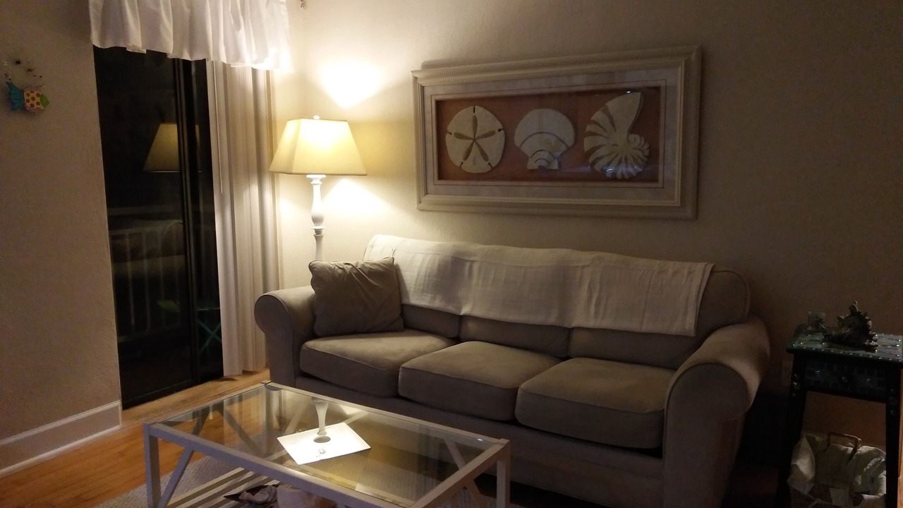 Photo of Livingroom in St. Pete Beach