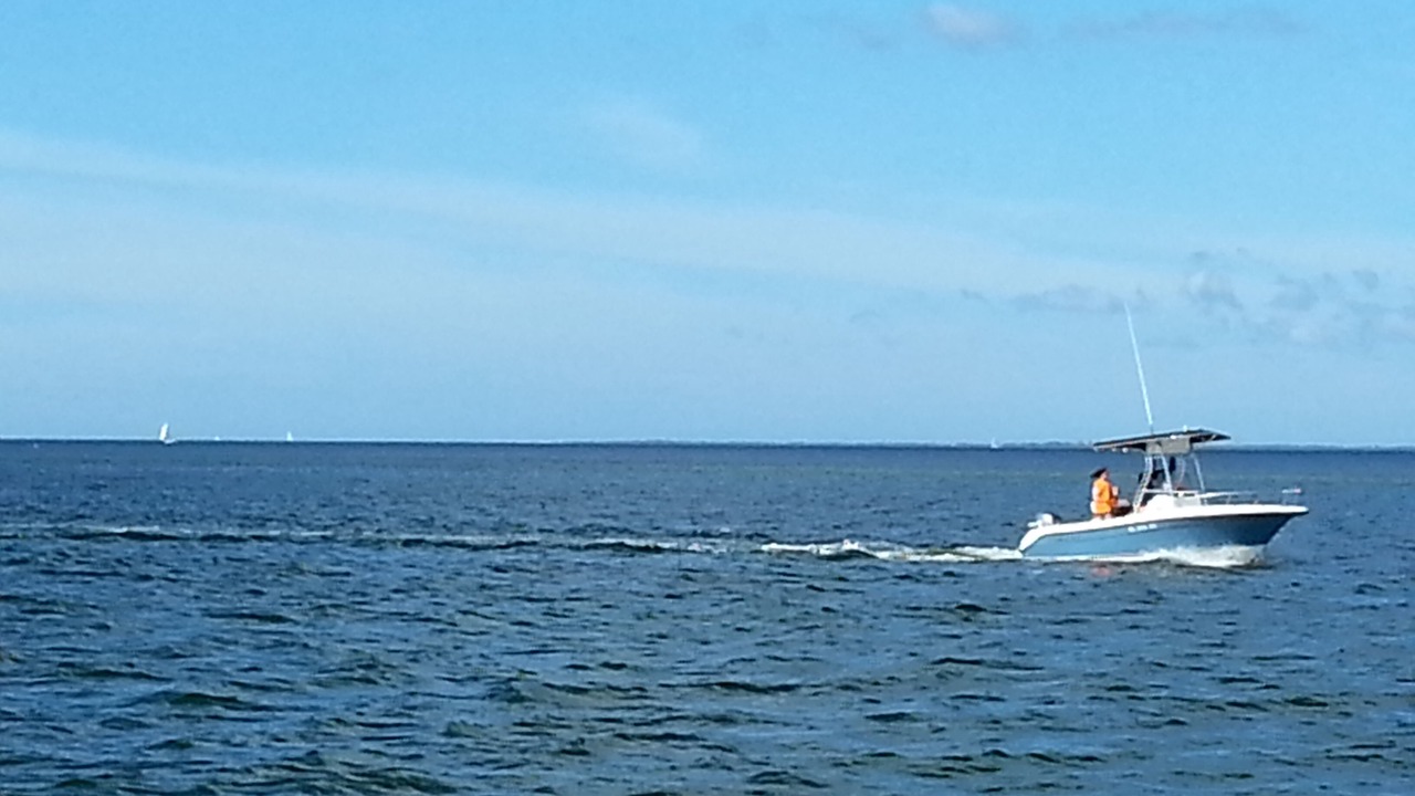 Photo of Others in St. Pete Beach
