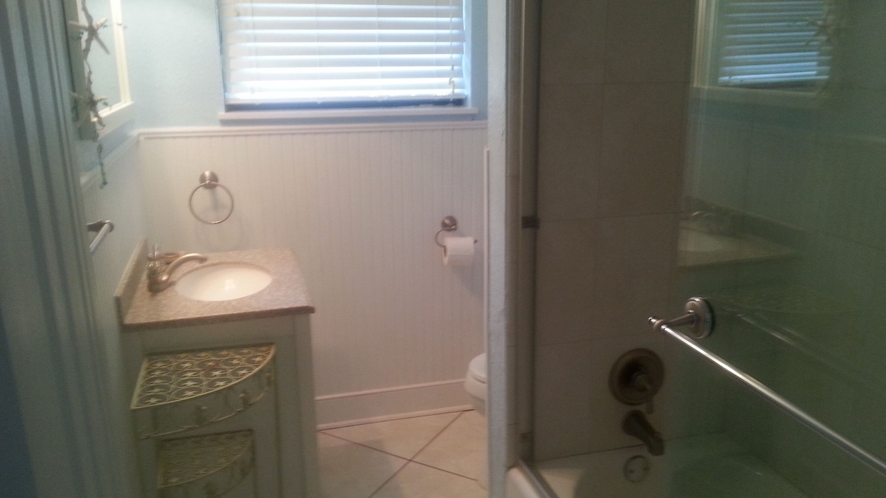 Photo of Bathroom in St. Pete Beach