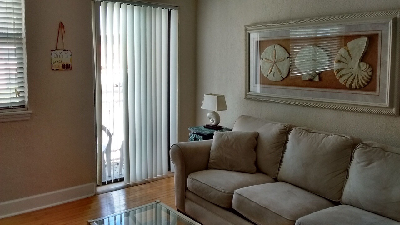 Photo of Livingroom in St. Pete Beach