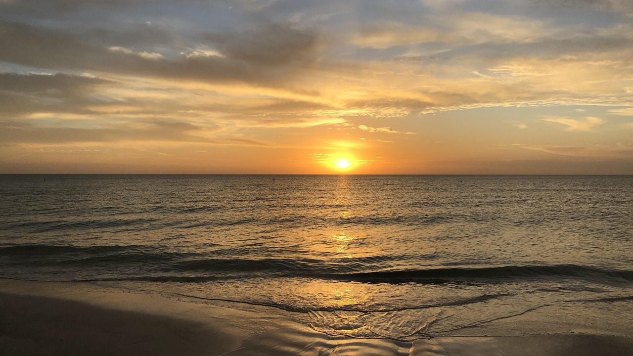 Photo of Others in St. Pete Beach
