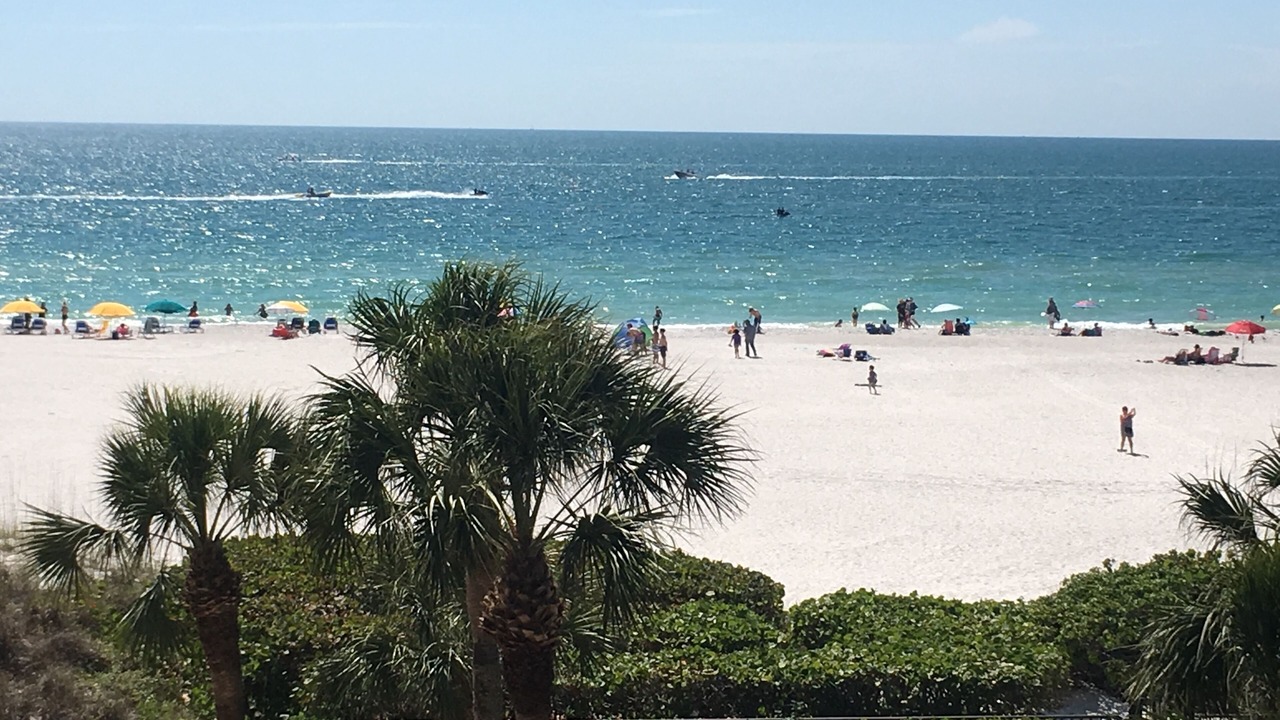 Photo of Others in St. Pete Beach