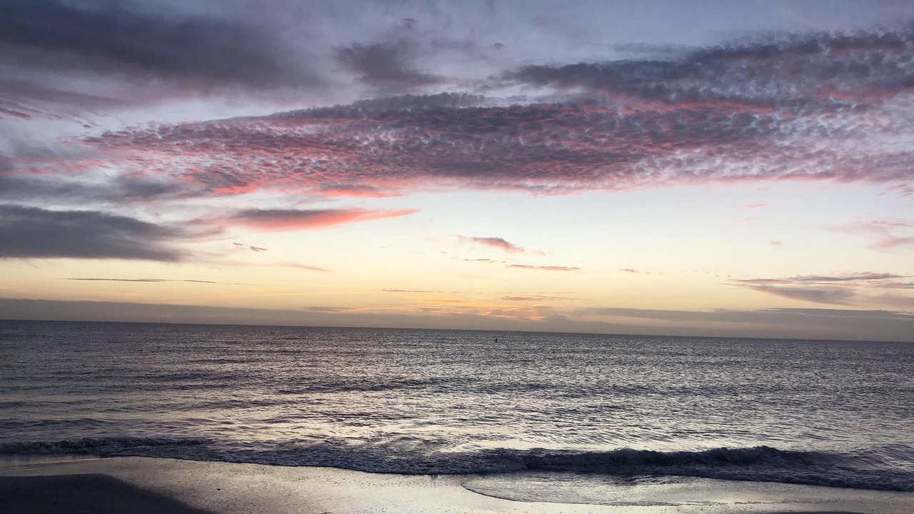 Photo of Others in St. Pete Beach