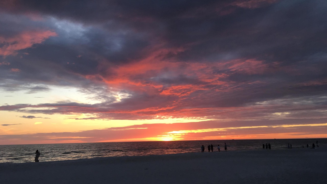 Photo of Others in St. Pete Beach