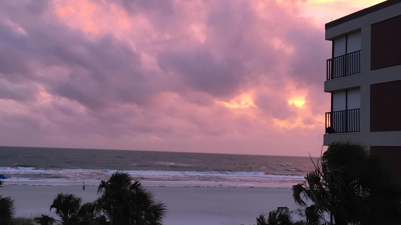 Photo of Outdoor in St. Pete Beach