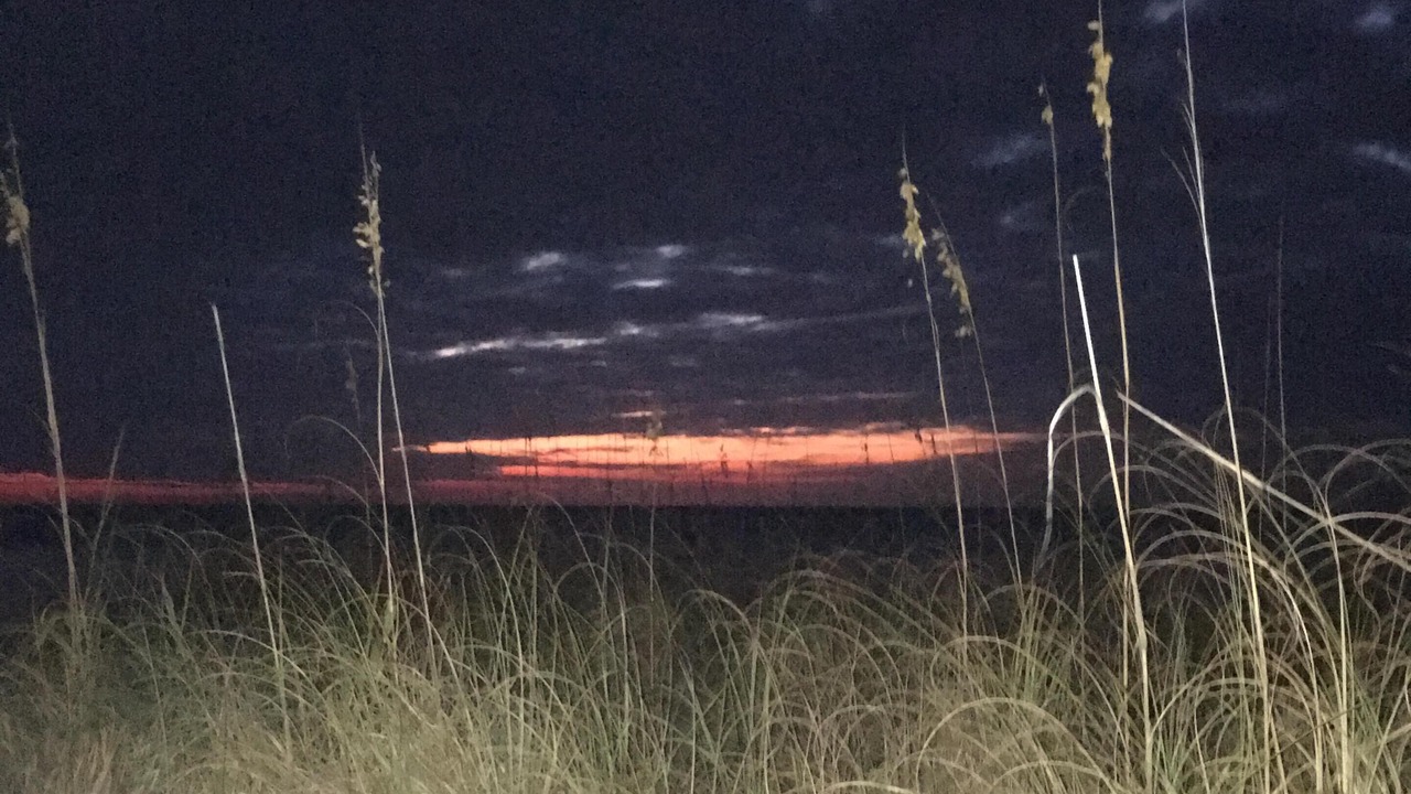 Photo of Others in St. Pete Beach