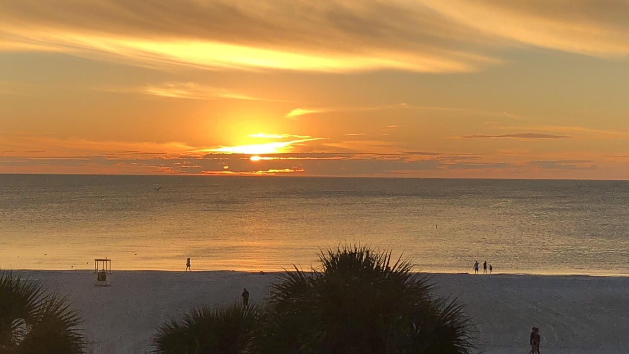 Photo of Others in St. Pete Beach