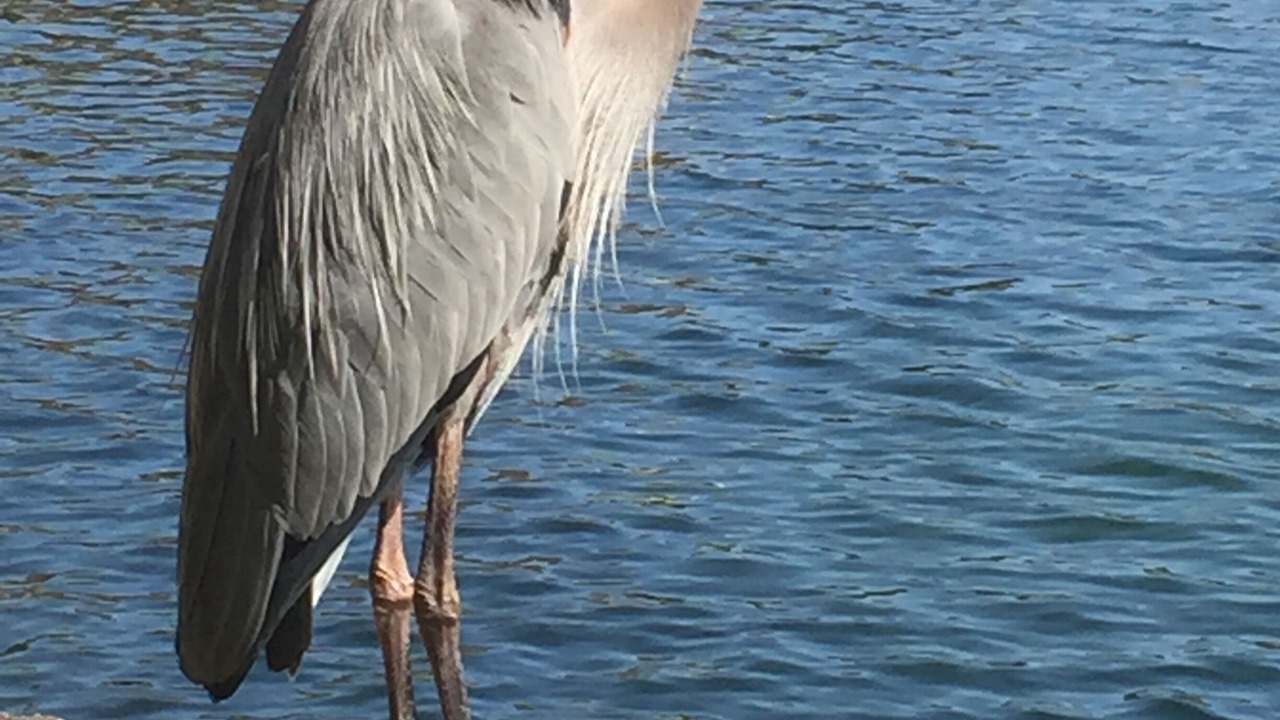 Photo of Others in Stuart