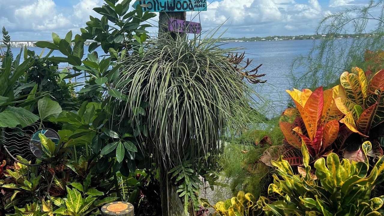 Photo of Outdoor in Stuart