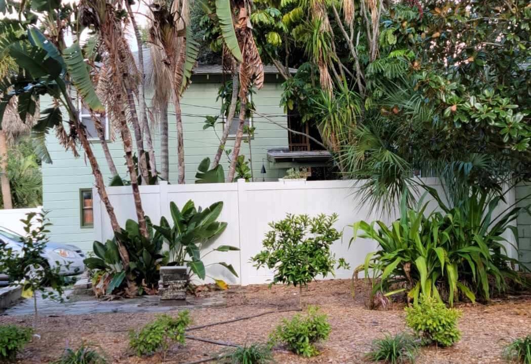 Photo of Outdoor in St. Petersburg - Clearwater