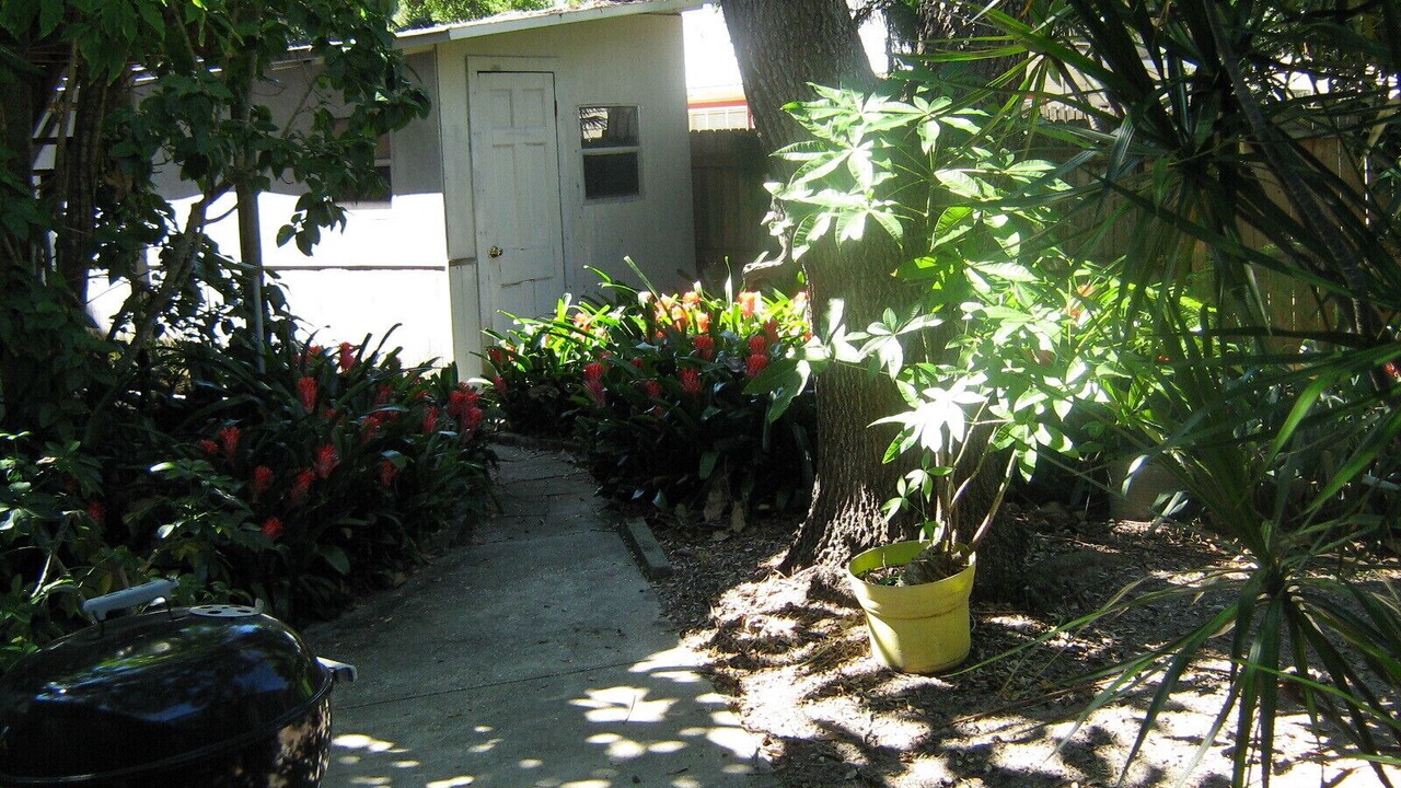 Photo of Outdoor in St. Petersburg - Clearwater