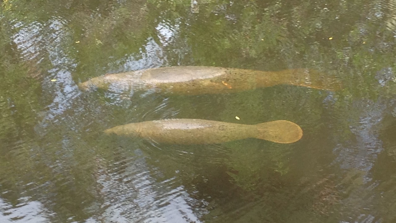 Photo of Outdoor in Stuart