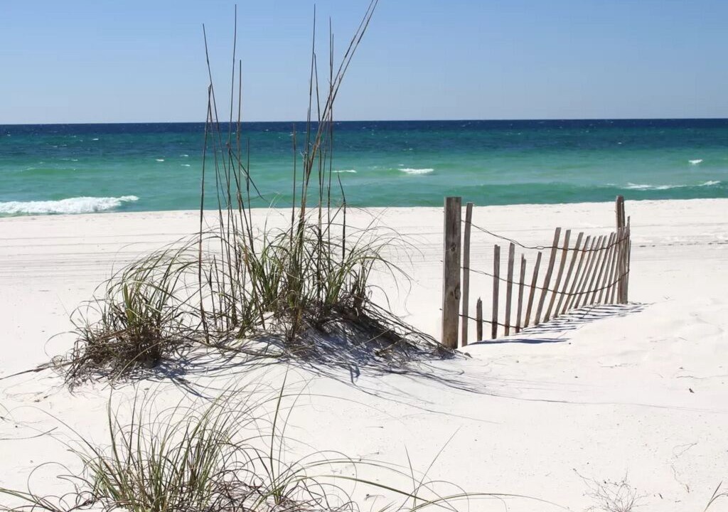 Photo of Others in Navarre Beach