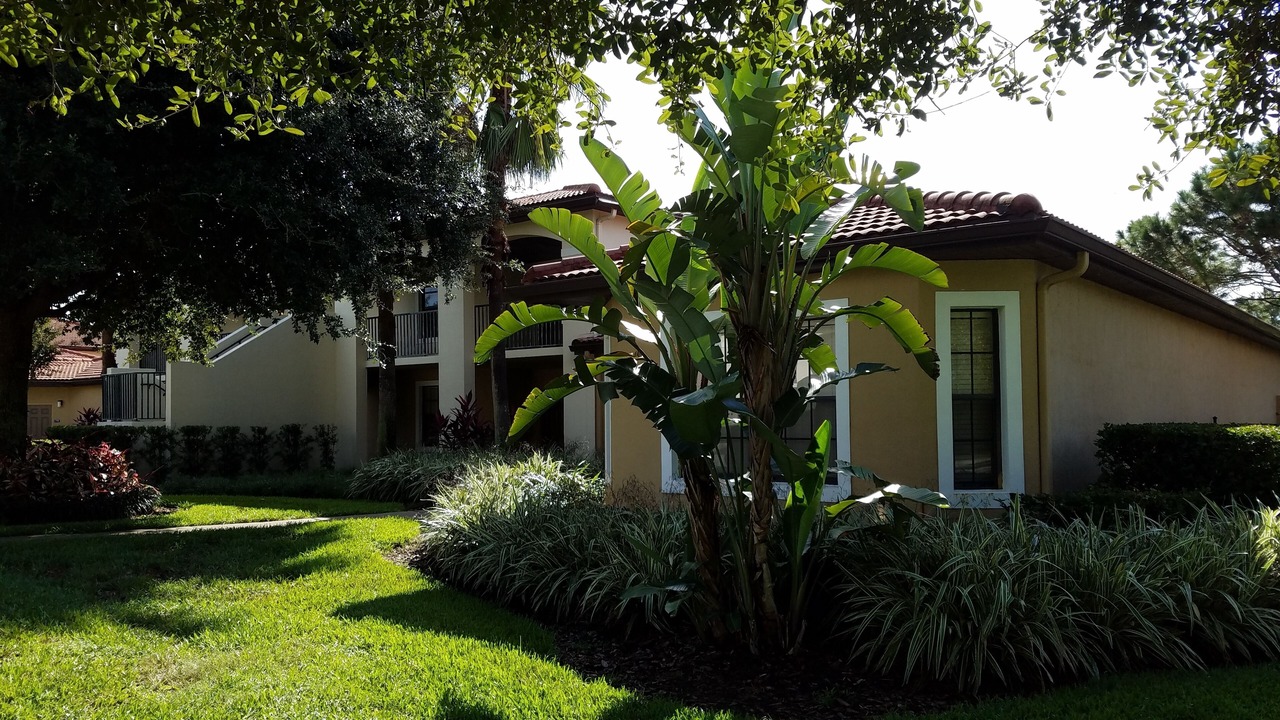 Photo of Outdoor in Orange Lake