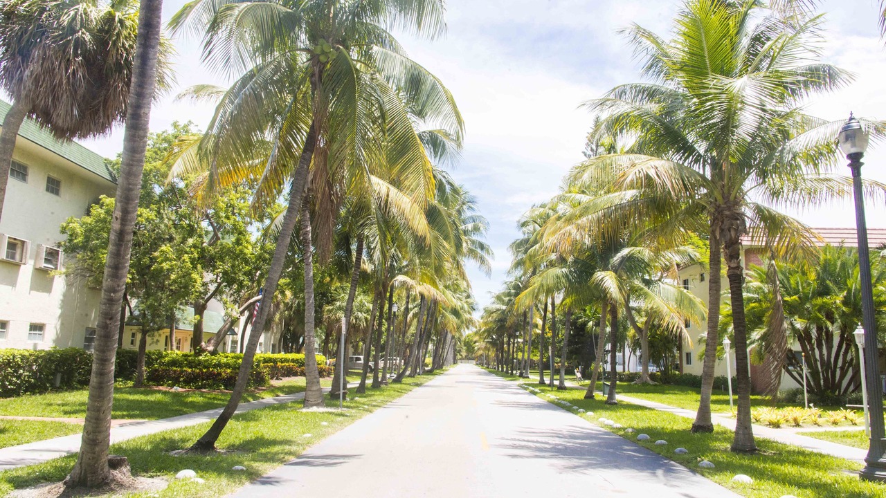 Photo of Outdoor in Key Biscayne