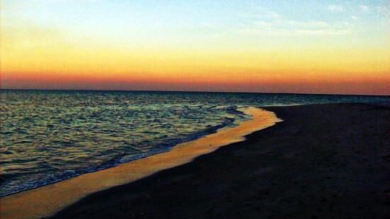 Photo of Others in Key Biscayne