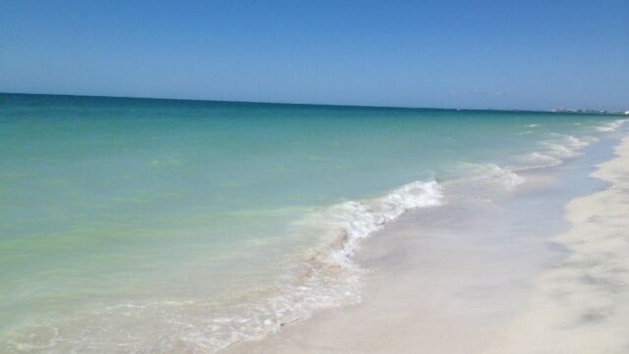 Photo of Others in Bonita Springs
