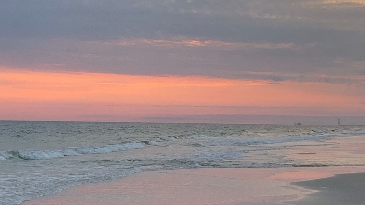 Photo of Others in Fort Walton Beach