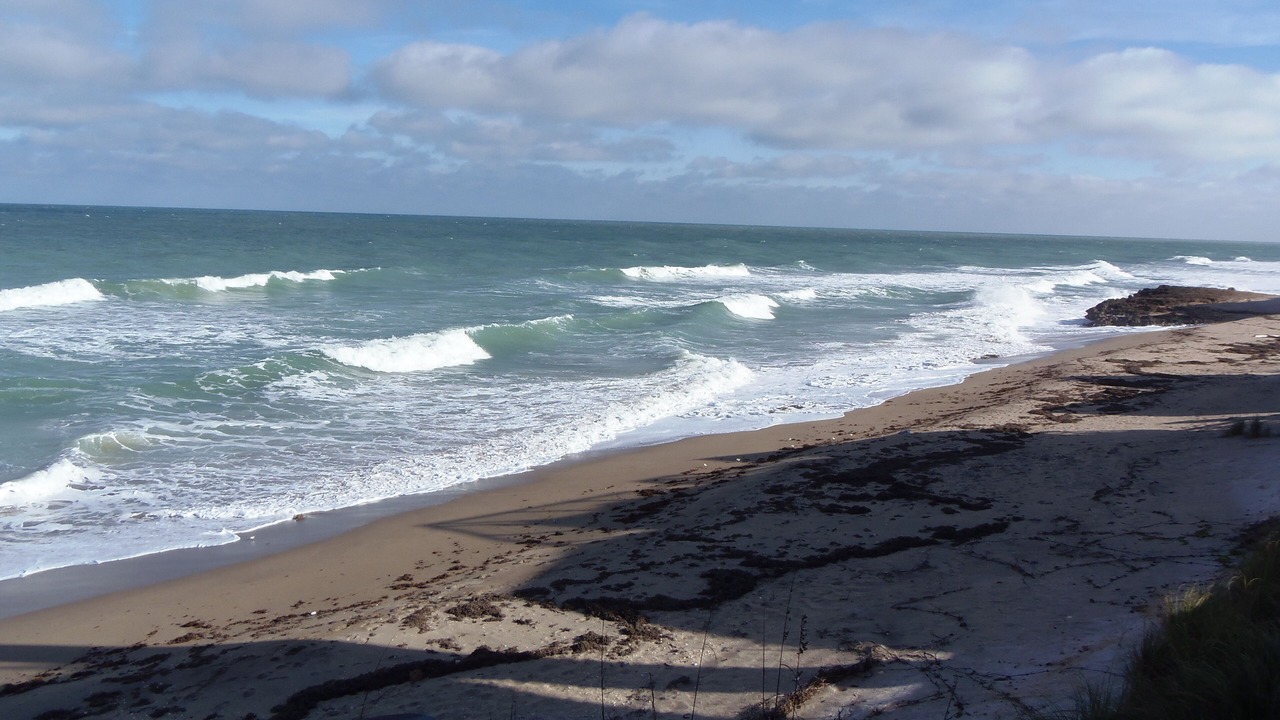 Photo of Others in Stuart