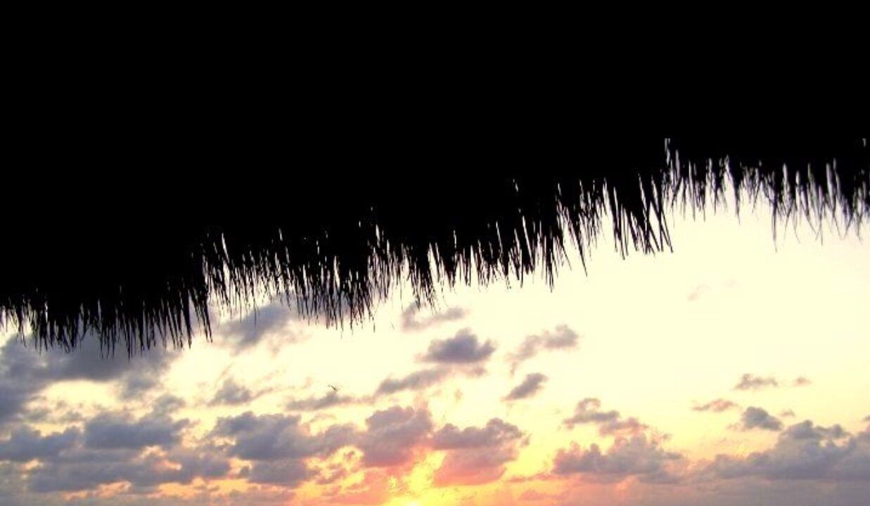 Photo of Others in Key Largo Village