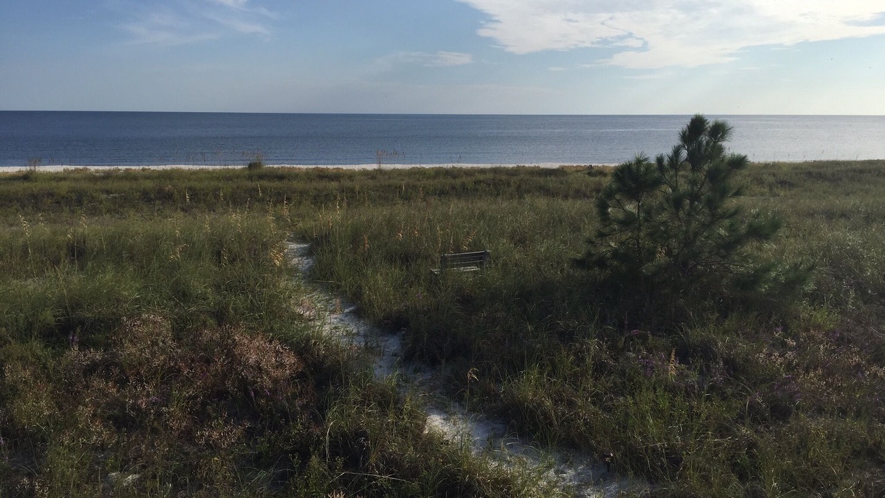 Photo of Others in Alligator Point