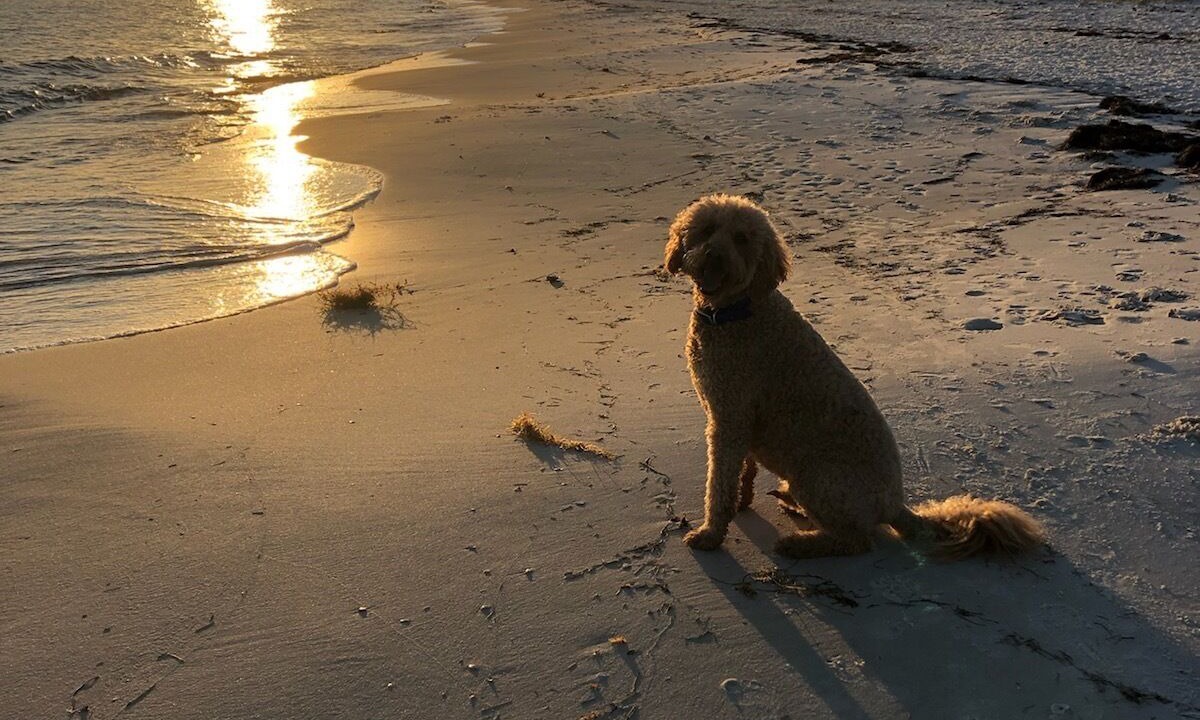 Photo of Others in Alligator Point