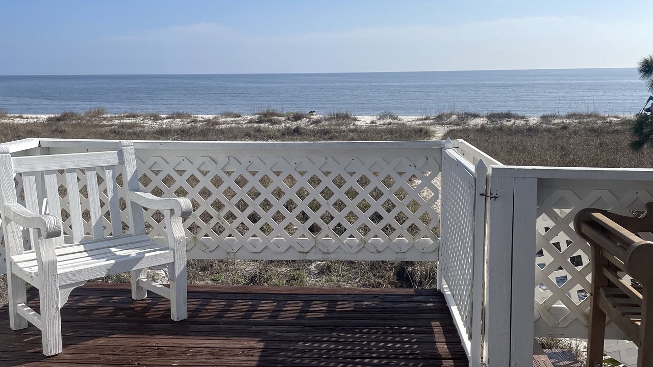 Photo of Outdoor in Alligator Point