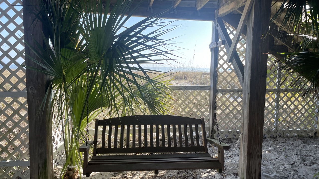 Photo of Outdoor in Alligator Point