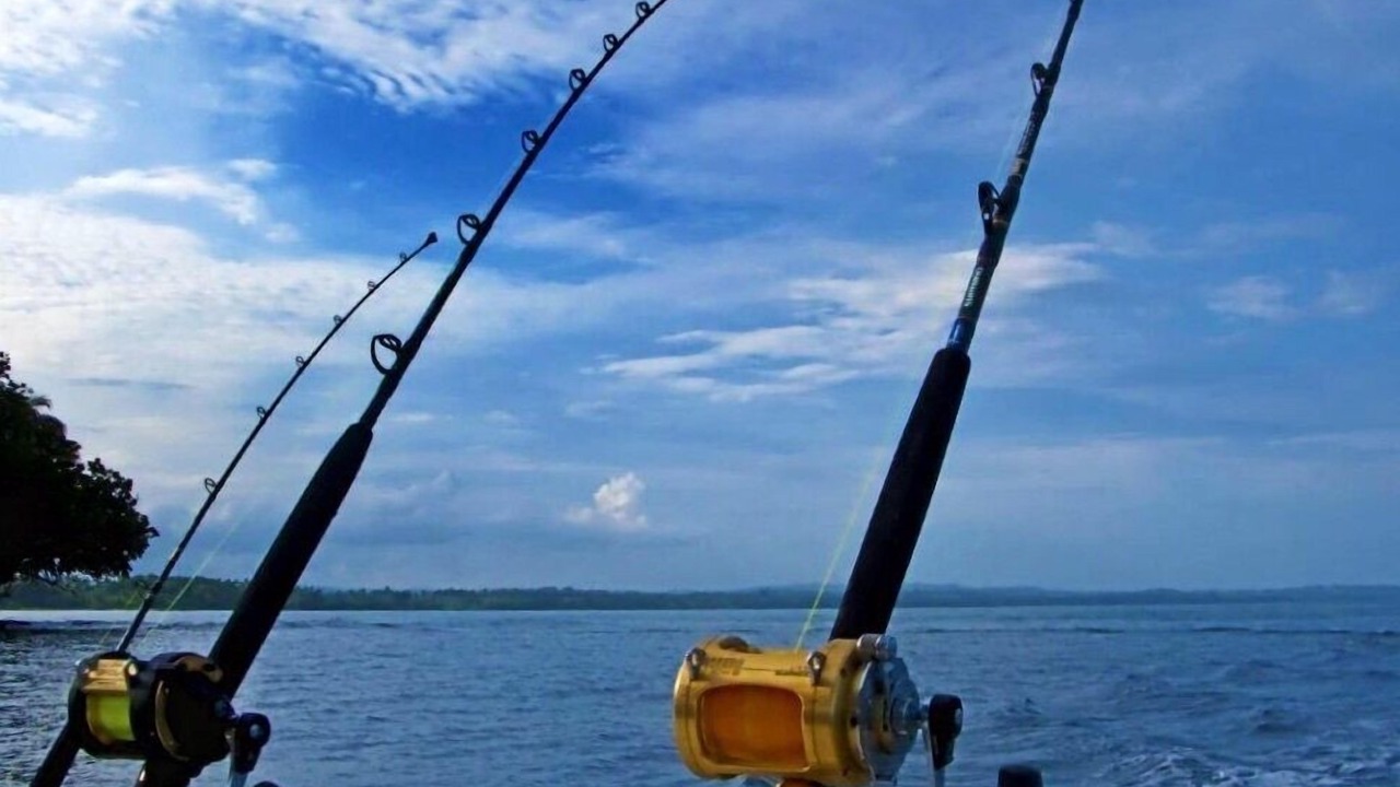 Photo of Others in Carrabelle
